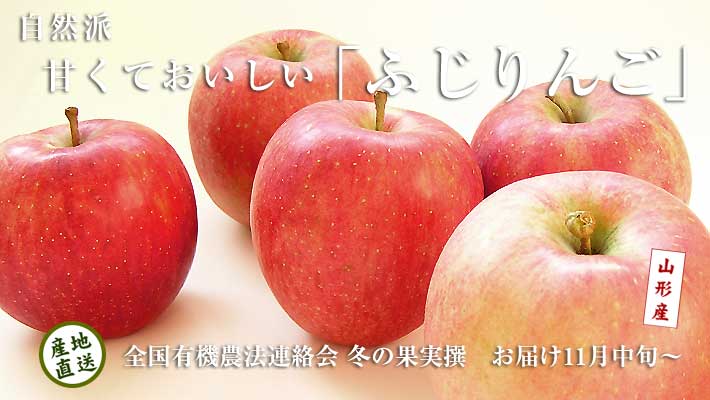 2023年11月下旬～】甘くておいしい「ふじりんご」　の通販｜「tuchinokoe」おすすめの無添加・オーガニック食品